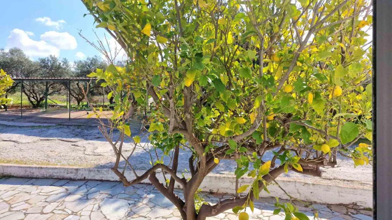 My Cretan Village By Go4Sea Chorafakia Exterior foto